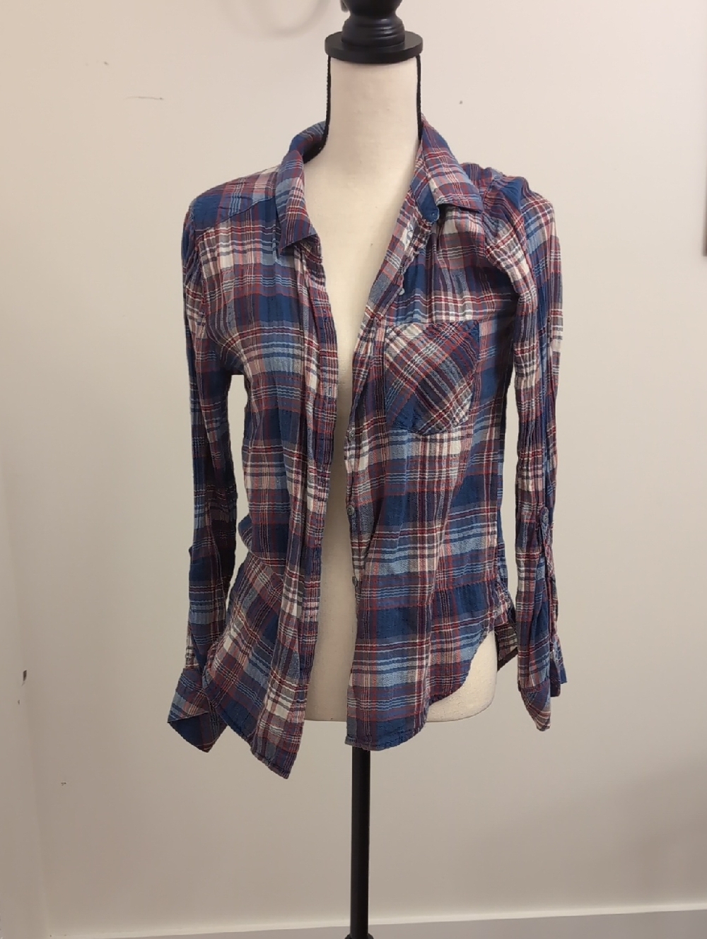 C&C California Plaid Button-Up Shirt in Blue and Red